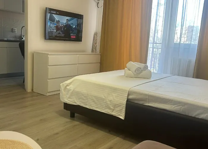 Garsoniera Cu Parcare Si Self Check-In Langa Grand Arena